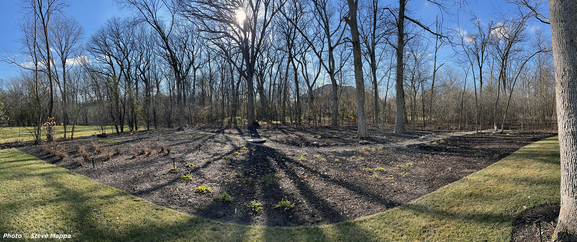 View of a beautiful backyard following buckthorn removal.