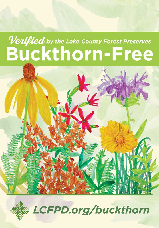 Buckthorn-Free verification flag