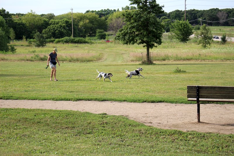 Independence Grove Dog Exercise Area