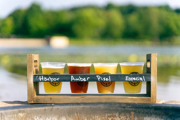 Photograph of four glasses of craft beer displayed in a carrier