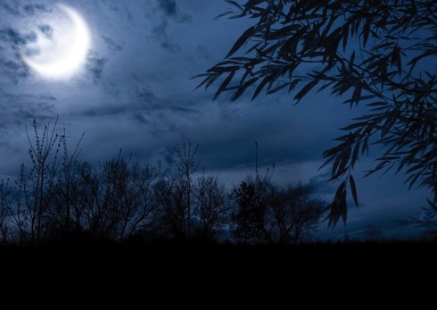 Dark tree line against a mid-night sky, large moon showing through the trees and reflecting on the water
