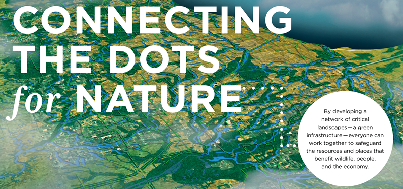 Connecting_the_Dots_for_Nature_Header