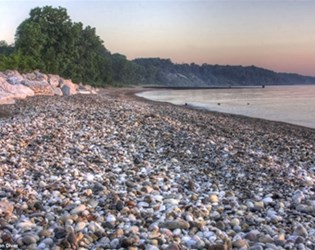 Fort Sheridan Forest Preserve