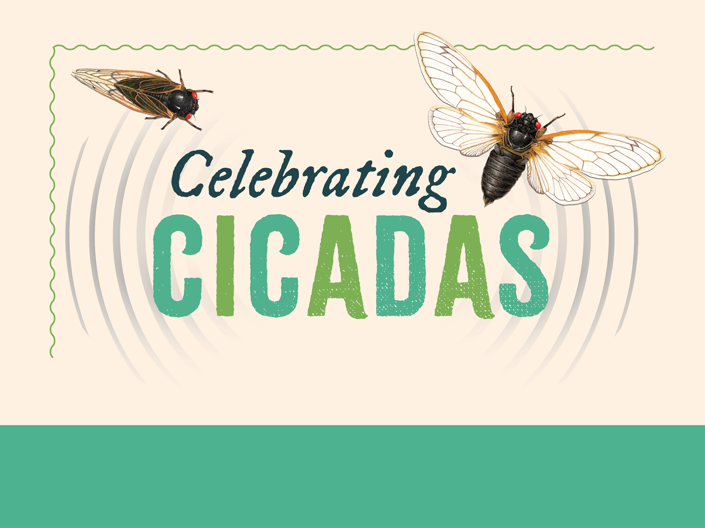 Celebrating Cicadas artwork