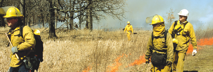 Controlled Burn