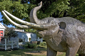 MastodonMysteries