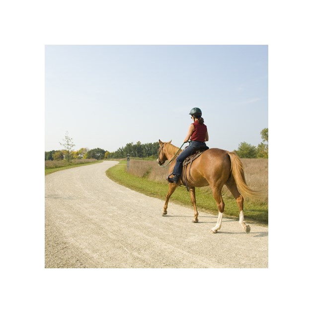 annual-horse-trail-permit