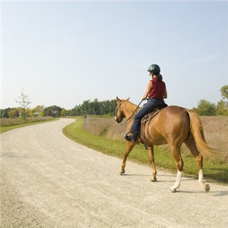 annual-horse-trail-permit