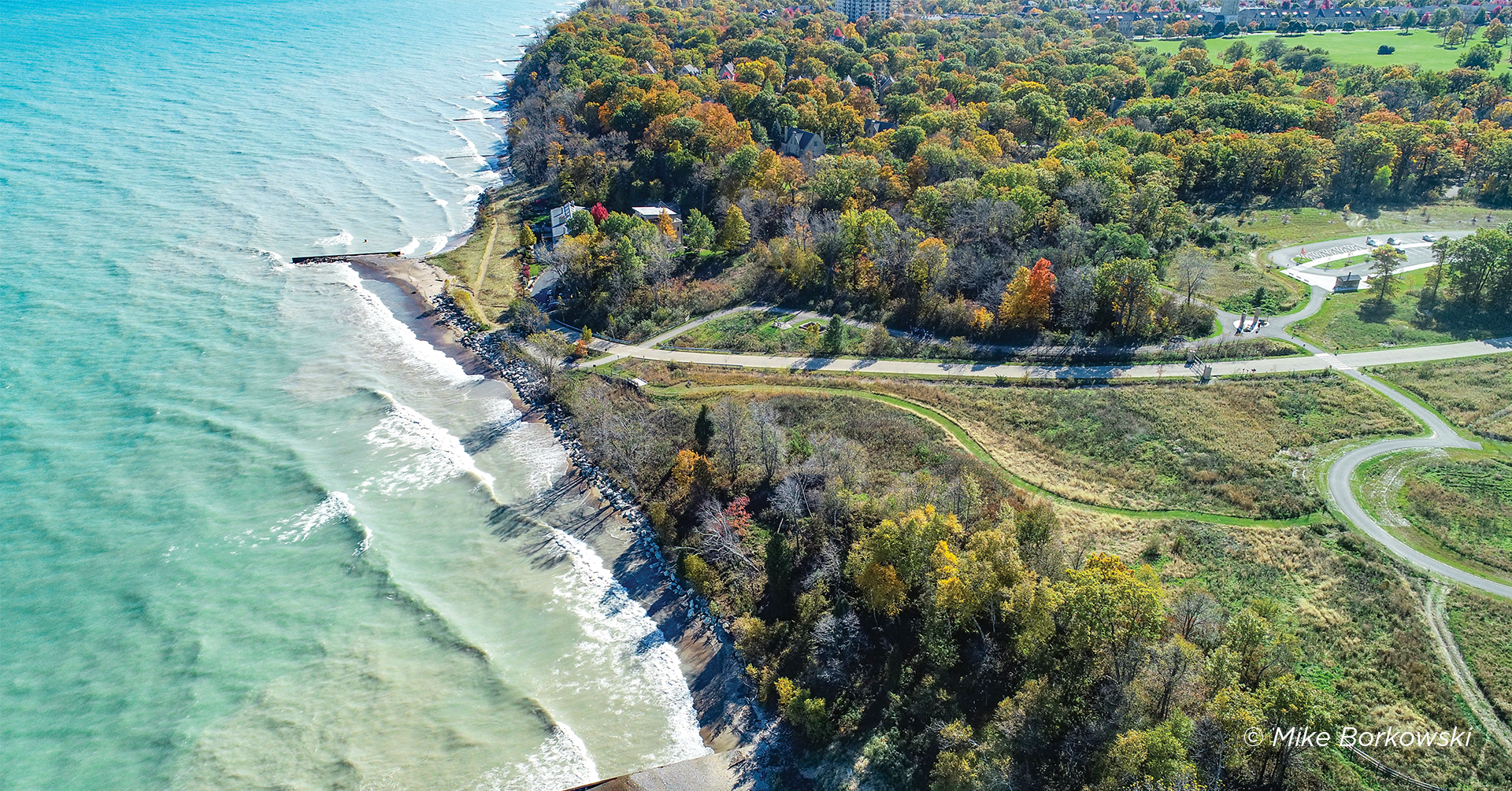 Aerial view of ocean front water splashing against a treelined shore.