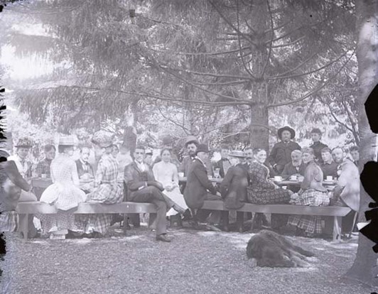 93-32-138_picnic