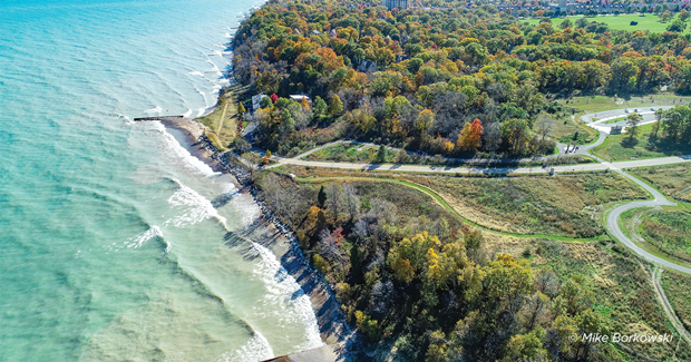 Aerial view of ocean front water splashing against a treelined shore.