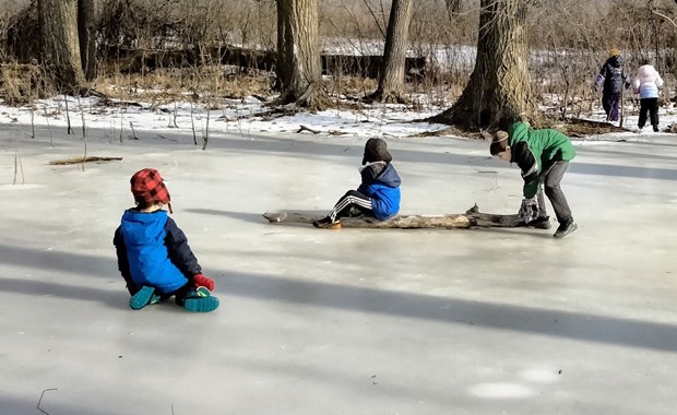 Children playing on a fallen tree in the middle of a frozen pond