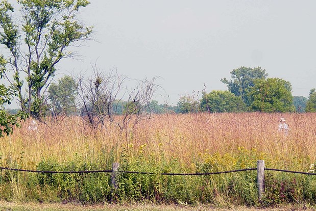 LYWO-20030910-007