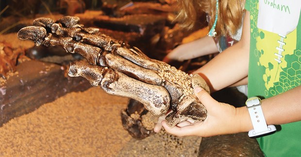 Two young children digging through sand and finding replica dinosaur bones.
