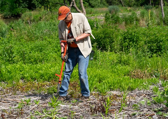 Restoration Workday volunteer planting.