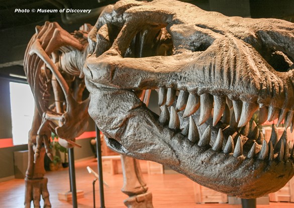 TREXEVENT