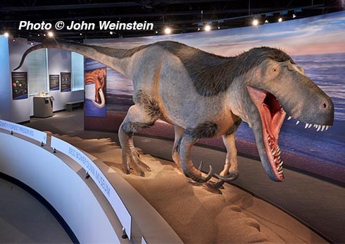 Web-Event-Museum-Storytime-Dinosaur