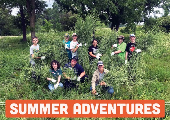Group of teens with an instructor out removing invasive plants from the forest preserve