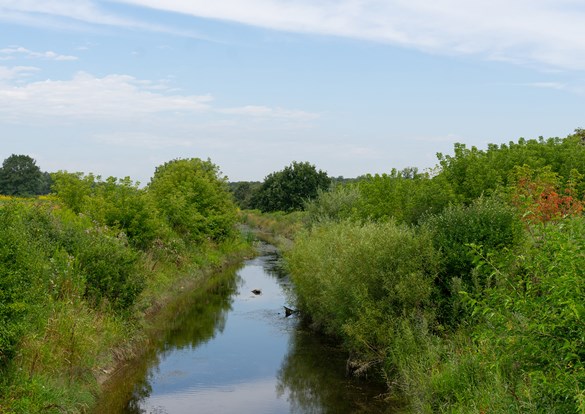 preserves-facilities-recreation-conservation-lake-county-forest-preserves