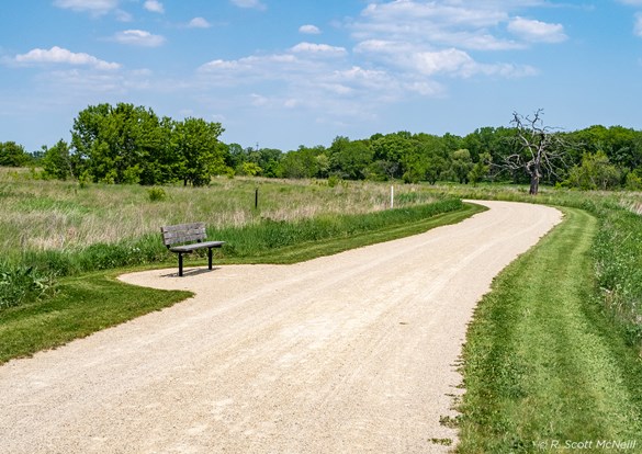 Gravel trail winding through a green grass field.