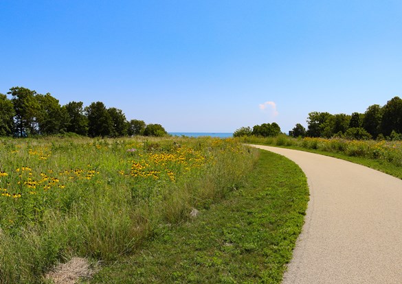 Trail running through a prairie of wildflowers heading towards Lake Michigan.