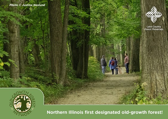 Web_Event-OldGrowth