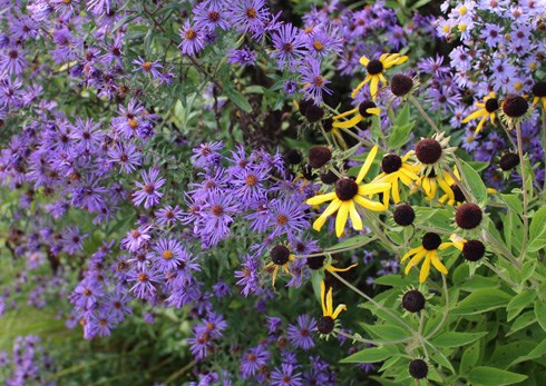 Web_Event-RainGarden