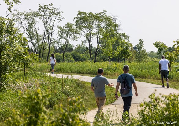 A trio walks on a winding path through a peaceful forest, surrounded by greenery and tall trees.