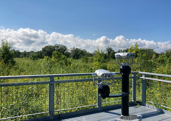 Standing atop a bird watching observation deck looking out over a wetland.