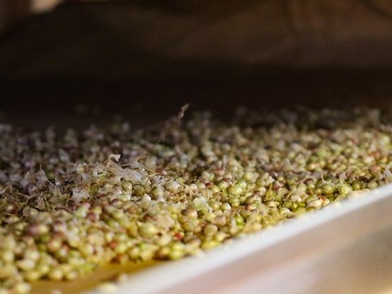 Web_Event-seed