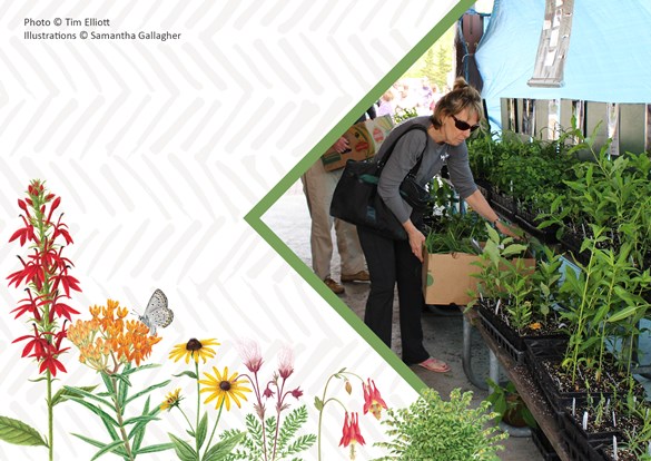persons picking out plants during the Native Plant Sale