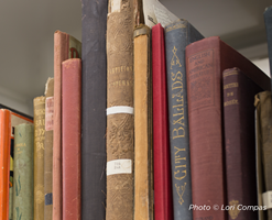 Bookshelf filled with multi-colored antique books.