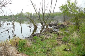 CUMA-20120430-003