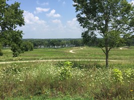 Grassy_Lake