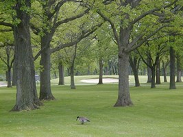 LAKE-20060524-004