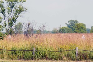 LYWO-20030910-007