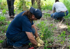 Restoration workday volunteer planting.