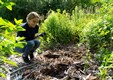 Restoration Workday volunteer planting.