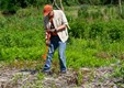 Restoration Workday volunteer planting.