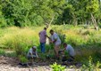 Restoration Workday volunteer planting.