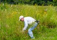 Volunteer participating in Pine Dunes restoration workday clearing.