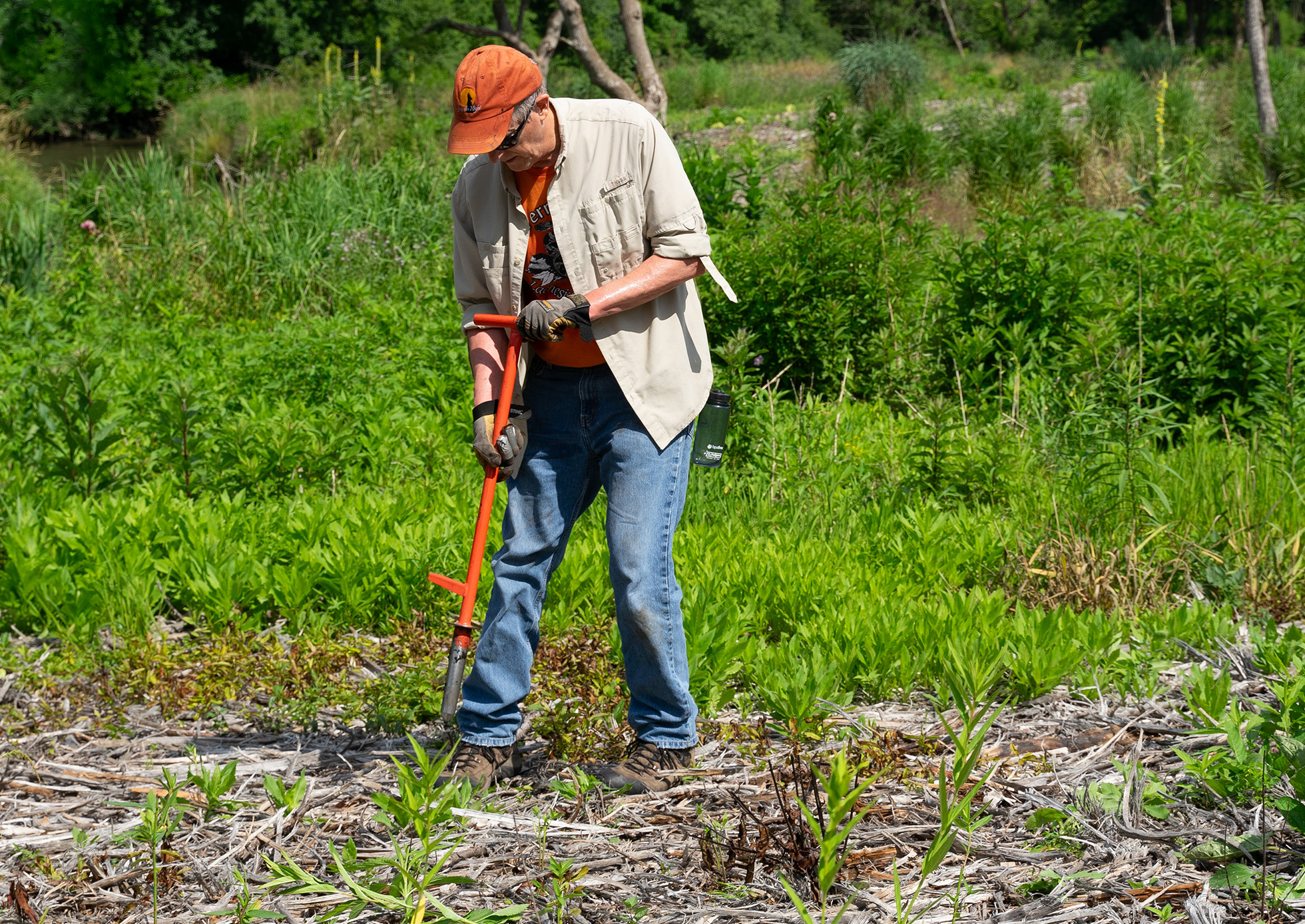 Restoration Workday volunteer planting.