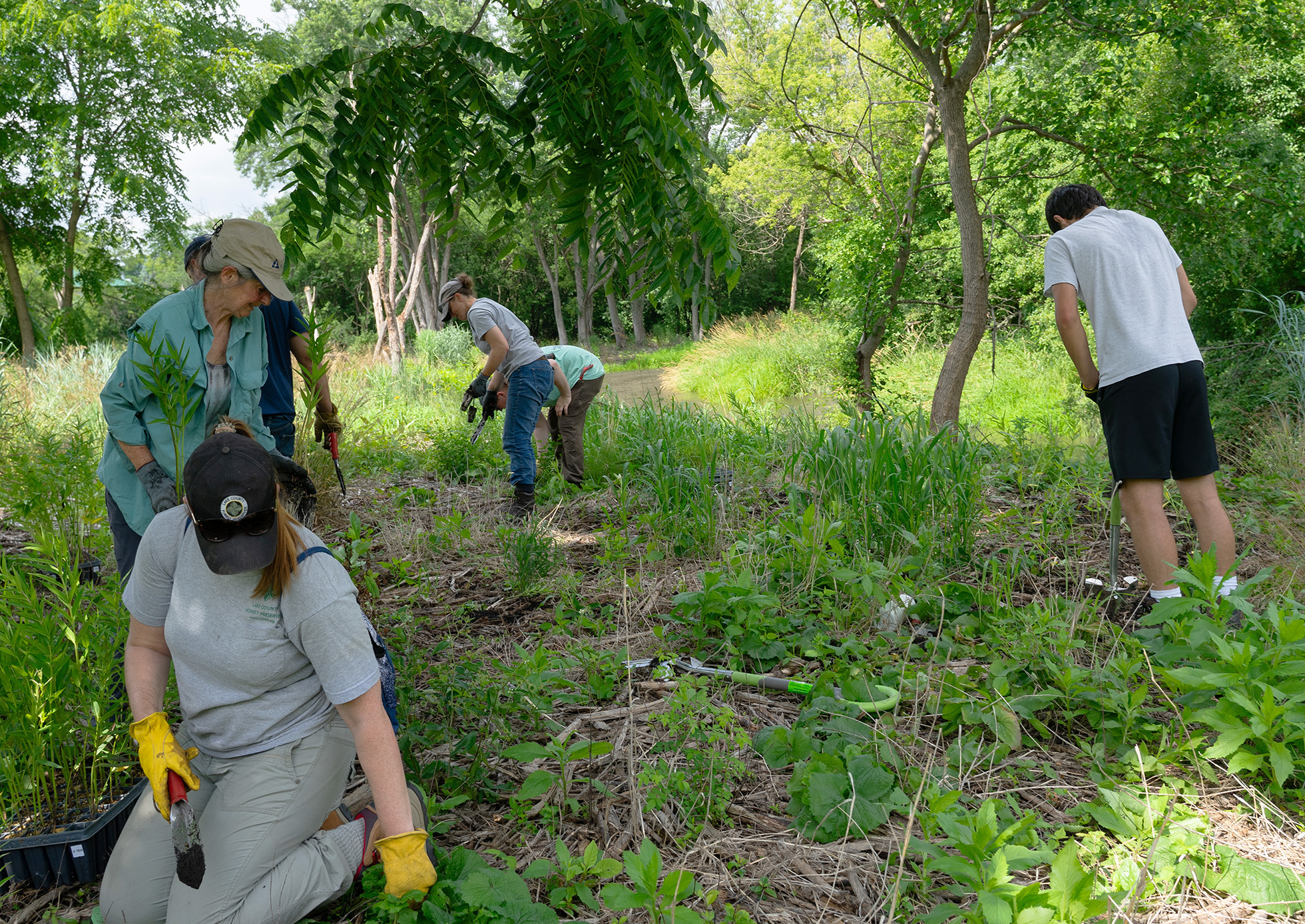 Restoration Workday volunteer planting.