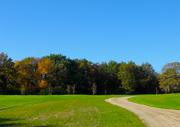 Web_Event-Nippersink