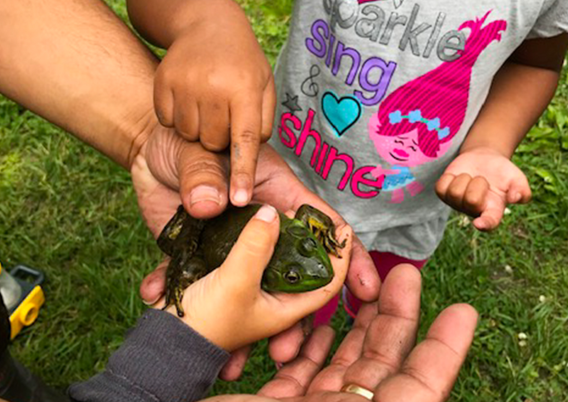 Instructor holda large green fron in their hand while a young child feels the bumps on the frogs back.