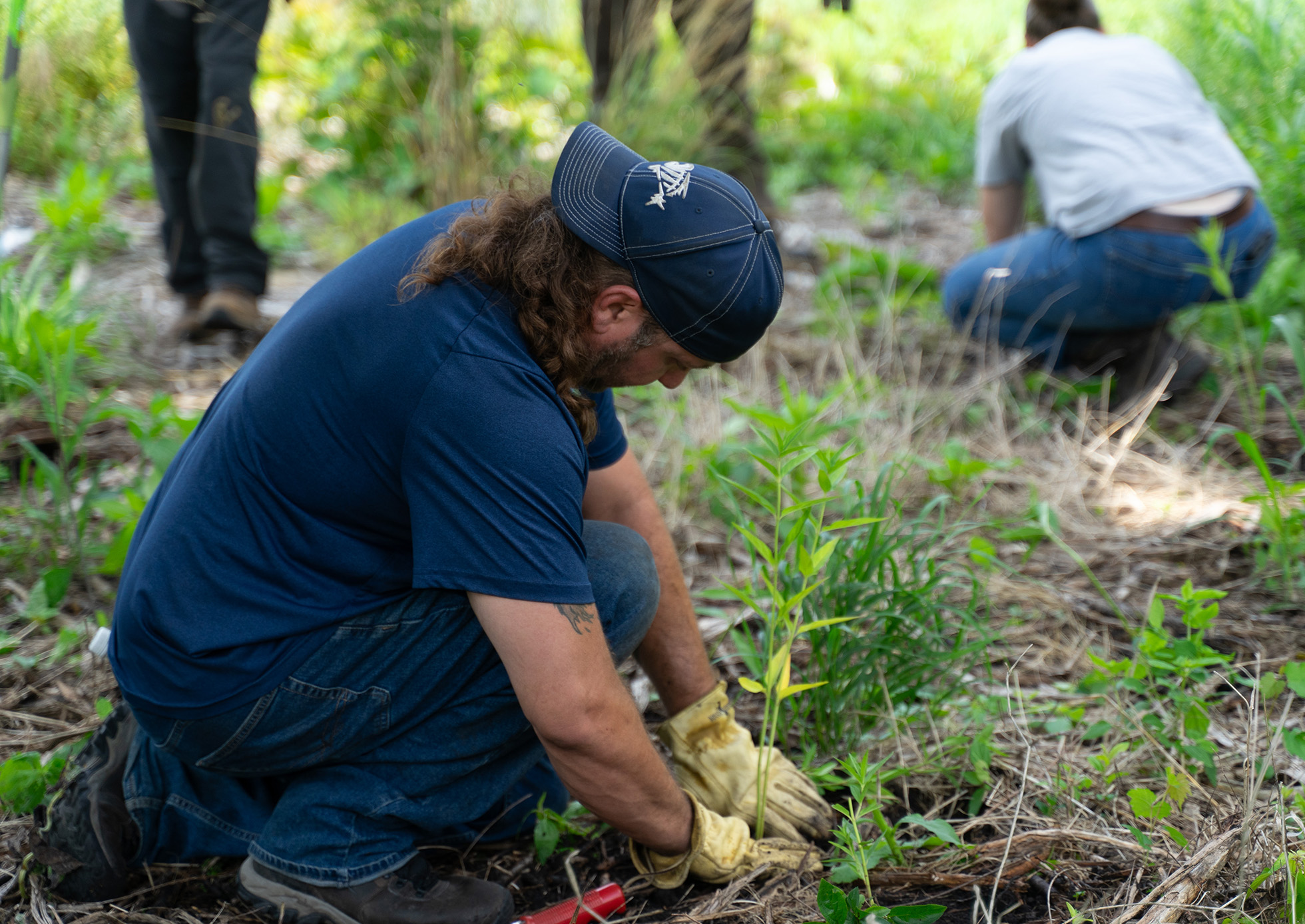 Restoration workday volunteer planting.
