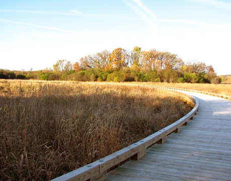 Beautiful sunset while walking over the wetlands on a wooden bridge