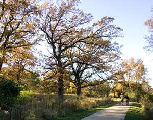 GRLA01