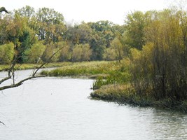 River