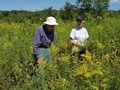 Conservation Volunteers